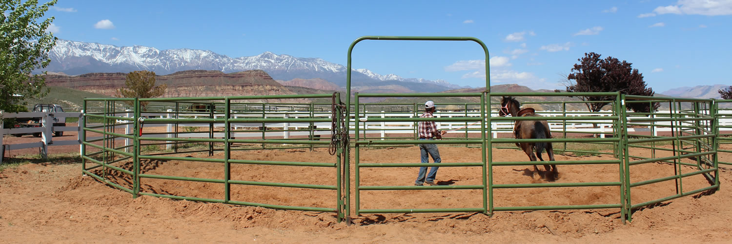 Equine Therapy